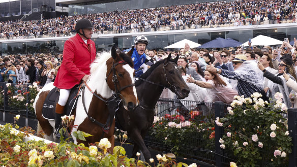 Gold Trip soaks up the adulation on a soggy Cup day.