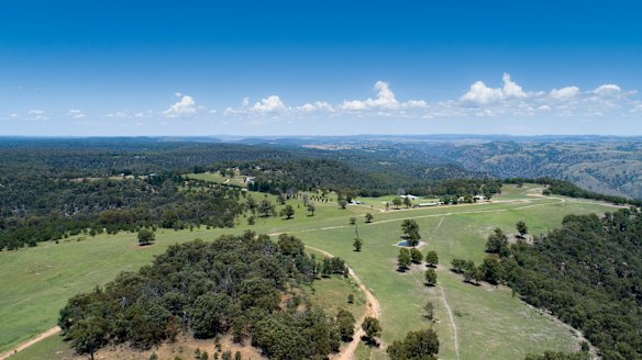 The NSW government has purchased Tugalong Station and announced a new national park with a koala habitat.