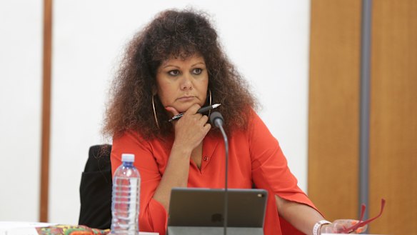 NT Senator Malarndirri McCarthy says her sister was the index case of the Robinson River outbreak. 