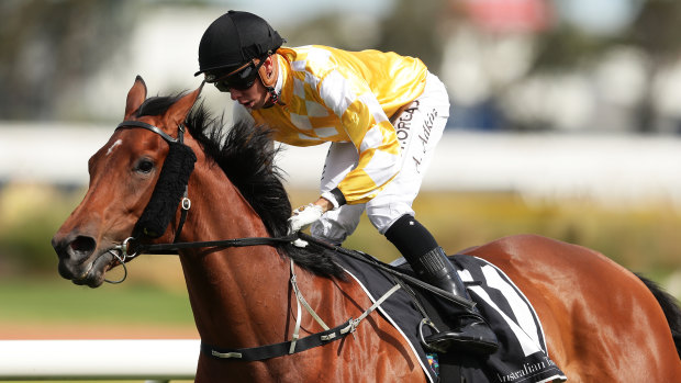 Jockey Andrew Adkins was involved in a third horror fall in 15 months at Rosehill on Saturday.