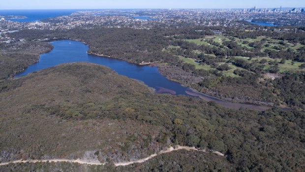 The Manly Dam is home to endangered species.