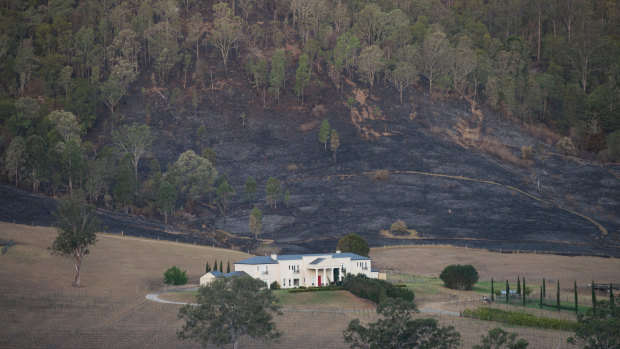 A burnt-out paddock behind a house near Lamington National Park Road. 
