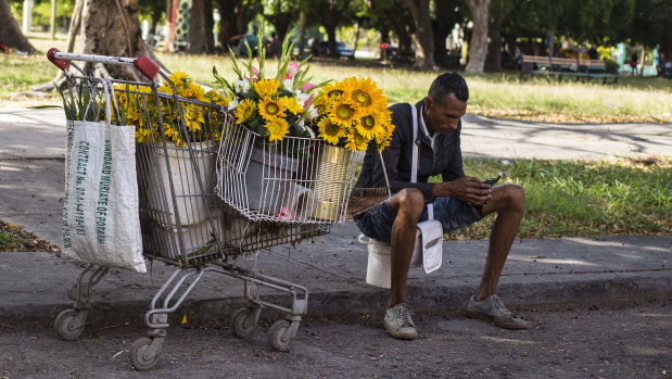 A flower vendor takes a break to surf the internet on his smartphone in Havana, Cuba, on Thursday.