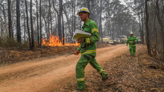 DELWP officers burn a containment line along Blaze Road in State Forest north of Bairnsdale.