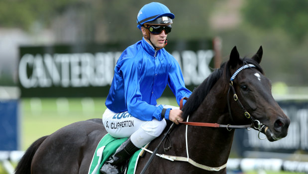 Canberra Cup favourite Morton's Fork is John Scorse's best bet at Canberra's Black Opal Stakes Day.