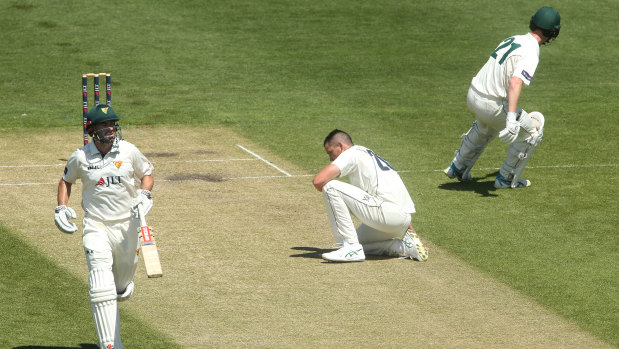 Grounded: Victorian bowler Chris Tremain (centre) goes down as Alex Doolan (left) and Jordan Silk of Tasmania take runs on day two.