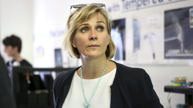 Independent candidate for Warringah Zali Steggall has objected to the hospital sale.