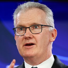 Home Affairs Minister Tony Burke.