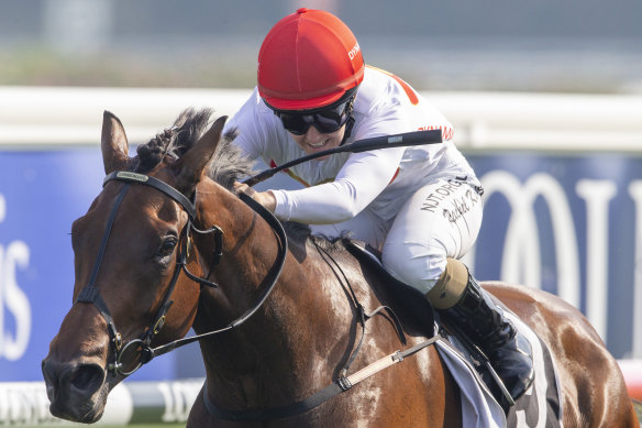 Mushaireb fought hard to win on the Kensington track at Randwick earlier this month.