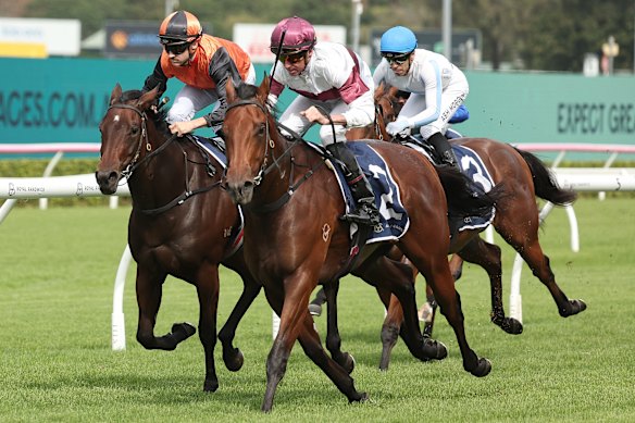Akaysha (left) battles with Grand Eagle last start when second at Randwick. 