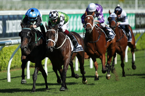 Yonkers is the top selection for the feature McKell Cup at Rosehill.