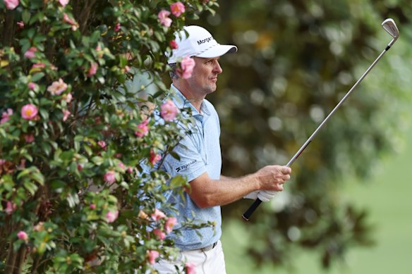 Justin Rose in the trees on 18. 