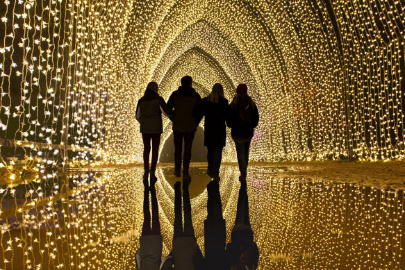 Lightscape opens in the City Botanic Gardens on August 31.