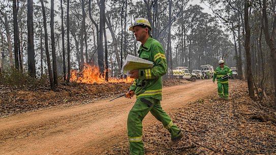 DELWP officers burn a containment line along Blaze Road in State Forest north of Bairnsdale.