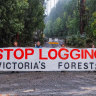 Teals demand government scrap carve-out for native forest logging