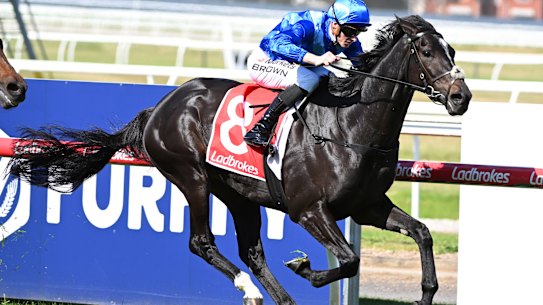 Point of Law charges to Geelong Cup victory.