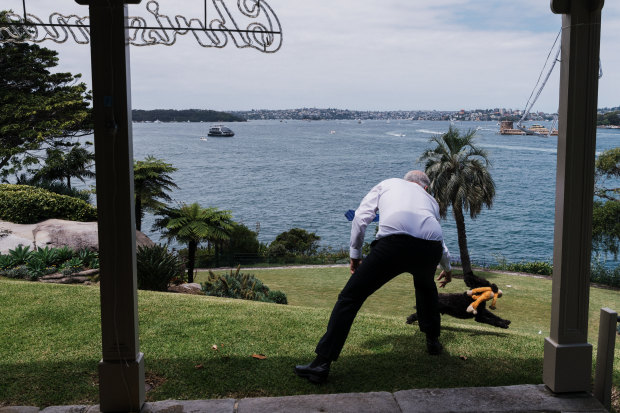 Morrison with his dog Buddy on the lawns of Kirribilli House. Morrison’s assessment of the national psyche is that “Australia is not a country where people want to spend every afternoon talking about politics”.