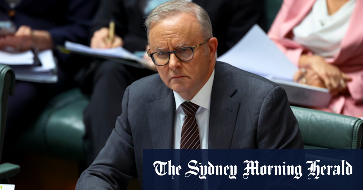 Treasury examining concerns raised with Anthony Albanese’s office