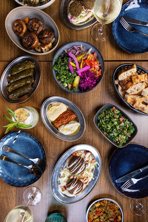 Mixed dips, vine leaf dolma, falafel and eggplant saksuka. 