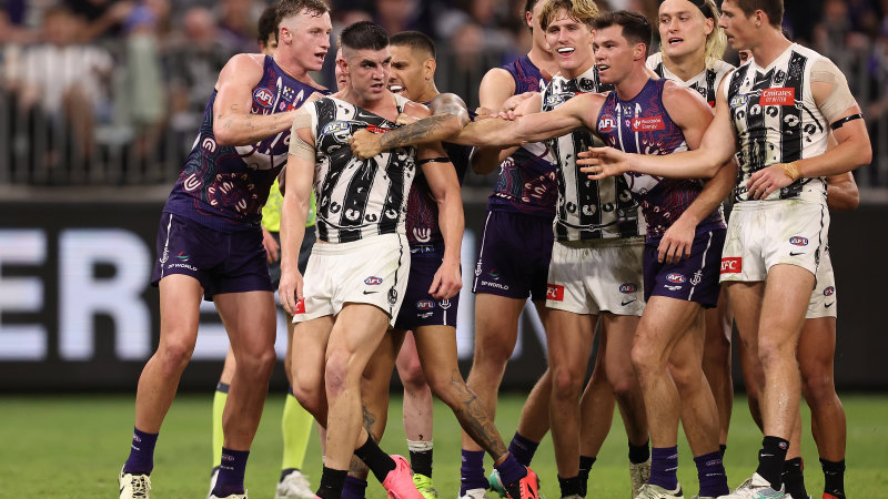 AFL round 11 LIVE updates: Dockers comeback to deny Magpies in third draw of the season