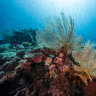 Federal environment minister Tanya Plibersek will decide whether Woodside’s plan to bury CO2 under the seabed is environmentally acceptable.