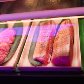 The sashimi counter. 