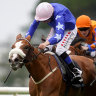 Weld link gets Captain Maverick from Galway to Greenhalgh