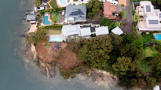 A section of harbourside bush has been illegally cleared of about 100 trees and 200 other plants at the end of Lucretia Ave, Longueville .