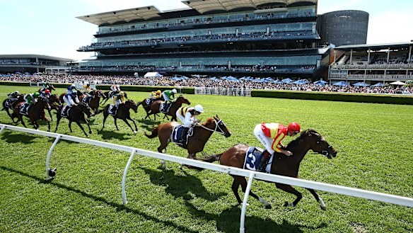 Regan Bayliss romps home on Attractable in the Big Dance at Randwick in November to give trainer Sara Ryan her biggest victory.
