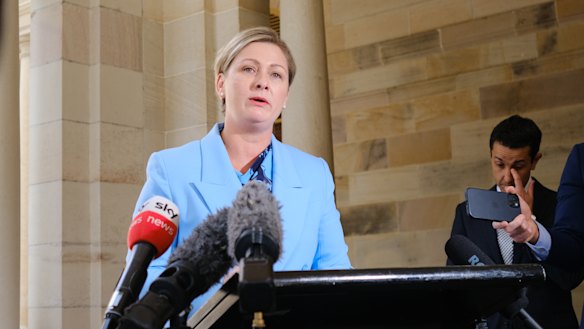 Minister Amanda Camm announced the new advisory panel in May, but it is not clear how – or if – it and a new office in her department will keep the public updated.