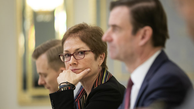 Former US ambassador to Ukraine Marie Yovanovitch became a primary target.