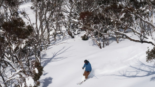 COVID-19 has created a 'very different' ski season at Australia's snow resorts.