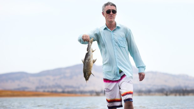 Authorities were investigating the cause of fish deaths in the Hume reservoir on the Murray,  although initial fears of a couple of thousands were pared back to about 60 dead fish.