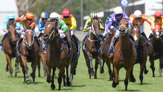 Fantastic Farm: Action is back at Warwick farm today.