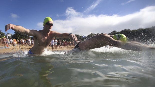 Swimmers hit the water at the start of one of the races at the Malabar Magic. 