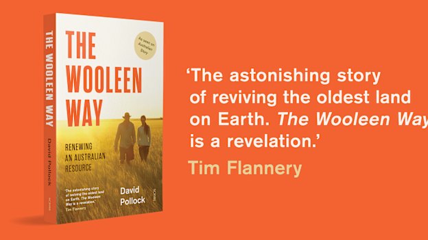 The Wooleen Way is in bookstores now. 