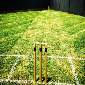 Consigned to backyard cricket.
