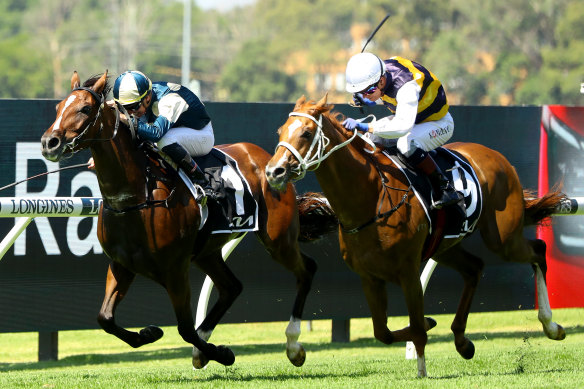 Timour drives down the outside to win the Manion Cup.