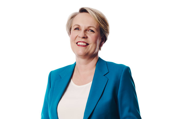 Tanya Plibersek: "In the six years I was a deputy leader, there wouldn’t have been a week that I wasn’t away several nights a week. You need a very supportive family structure for that."