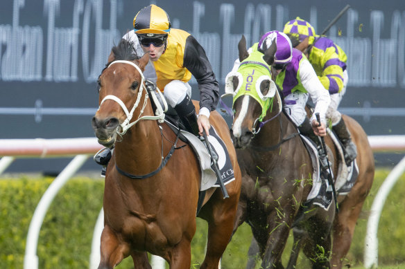 Tommy Berry scores an all-the-way win on Giovanna Run at Randwick on Saturday.