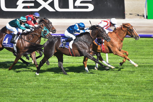 Giga Kick holds off Buenos Noches in the Danehill Stakes a fortnight before winning The Everest.