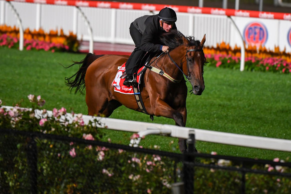 Arcadia Queen works under Willie Pike at Moonee Valley ahead of Saturday’s All-Star Mile.