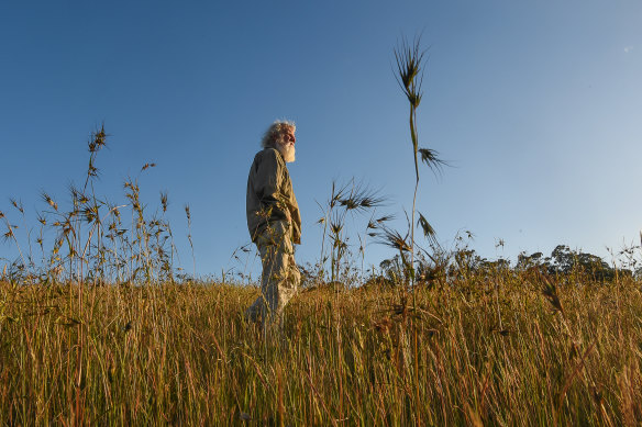 Pascoe says the burning helps the grass thrive.