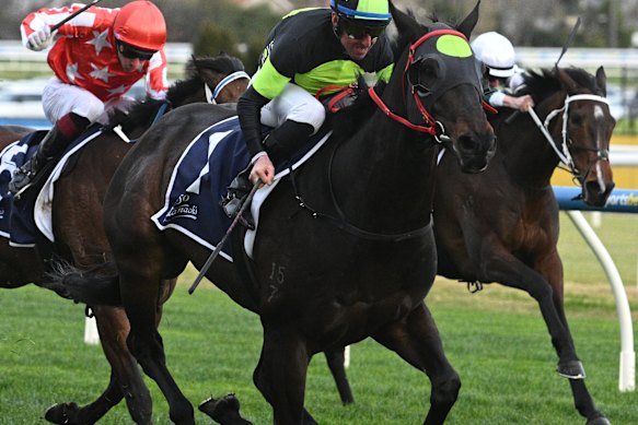 Nash Rawiller winning the PB Lawrence Stakes last year on Private Eye.