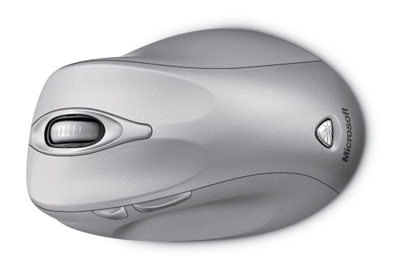 A computer mouse or something else?