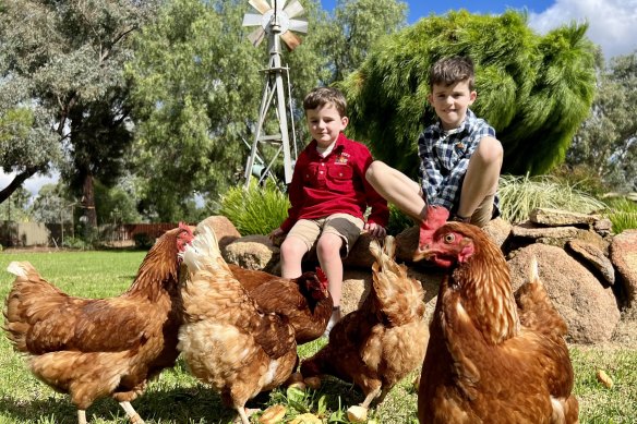 Henry and George Parker with their family’s “sentinel chickens” in Wagga Wagga.