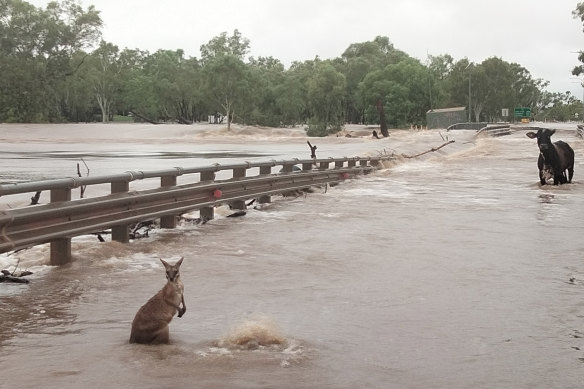 Floodwaters in the Kimberley region of Western Australia.