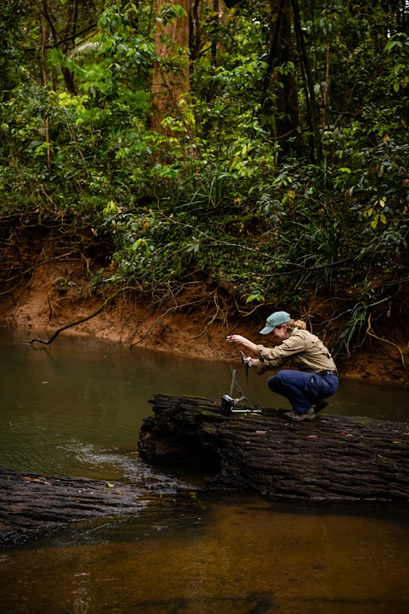 Ecologist Emily Rush explains the camera trapping systems in place.