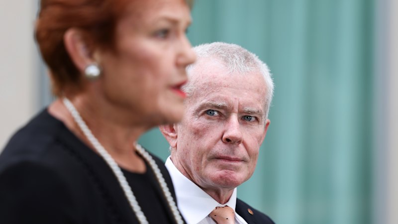 One Nation leader Hanson delays decision on Roberts’ conspiracy claims