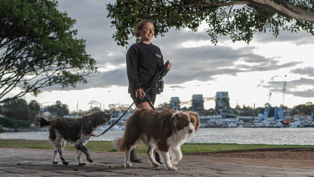 This could get ruff: Dog walkers face $550 fee in council crackdown